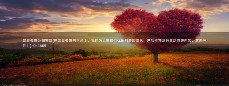 麻豆视频低竞争词