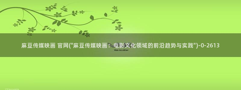 麻豆视频图片规则