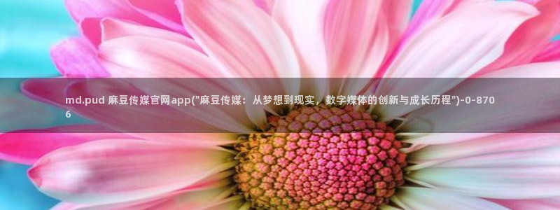 麻豆视频采集