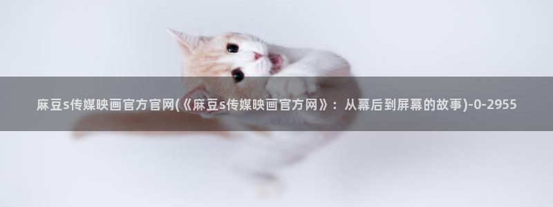 麻豆视频伪原创