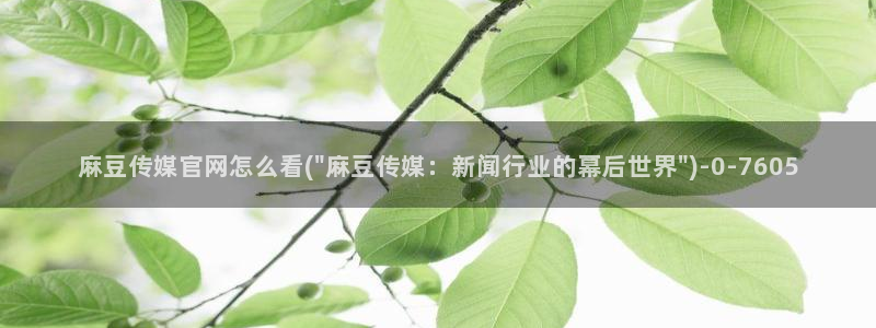 麻豆榜单标题