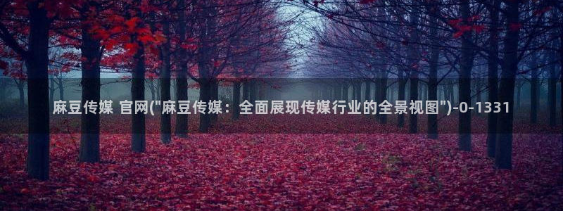 麻豆榜单描述
