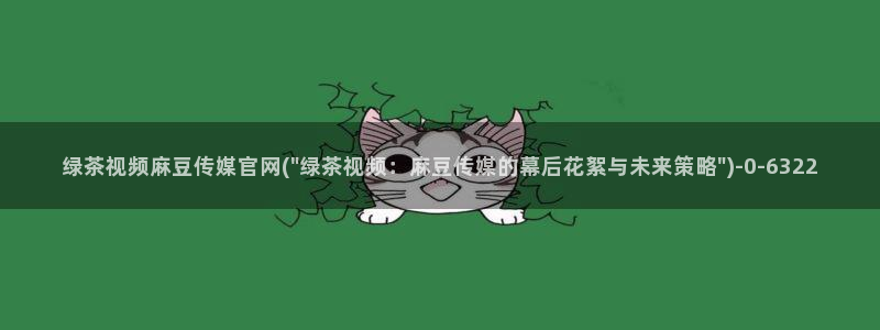 麻豆视频站内文案