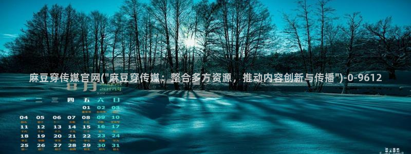 麻豆短剧：麻豆穿传媒官网(\