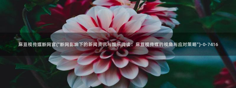 麻豆剧情标题