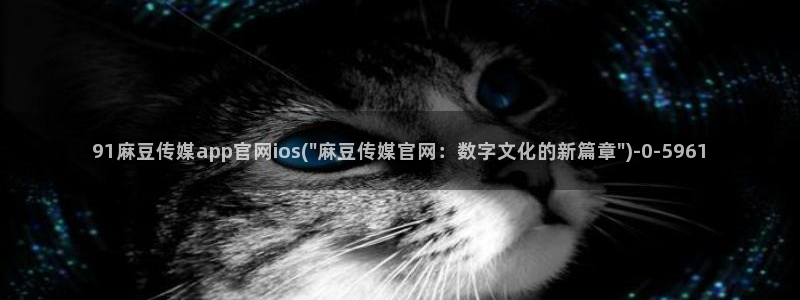 麻豆描述库