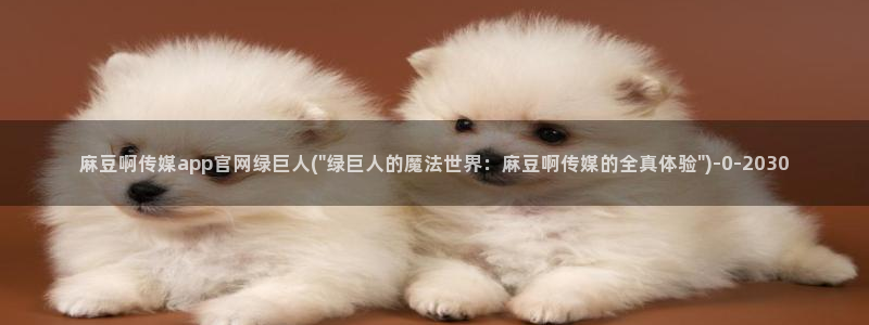 麻豆演员描述