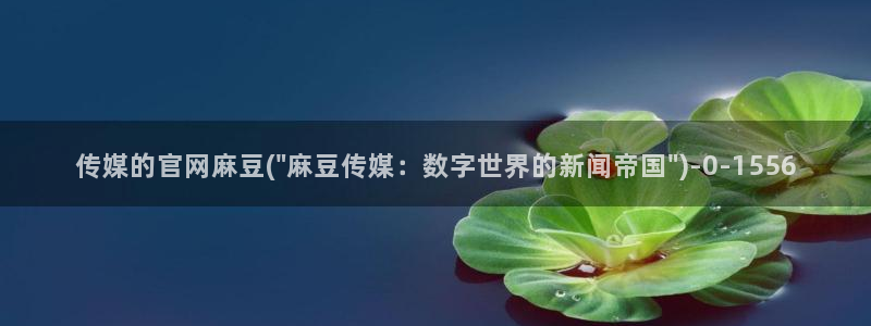 麻豆视频分类目录