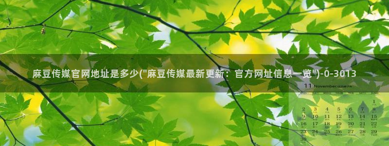 麻豆视频栏目文案