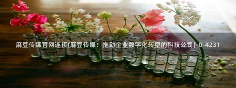 麻豆传媒精选