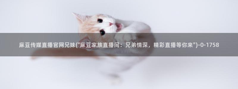 麻豆视频排名词