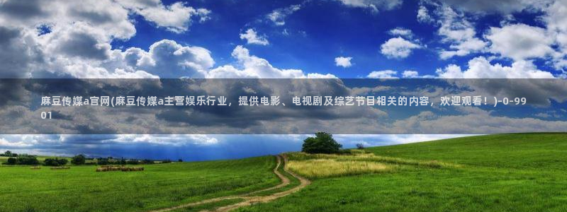 麻豆视频下载