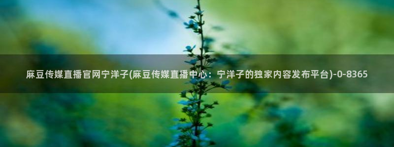 麻豆资源站模板