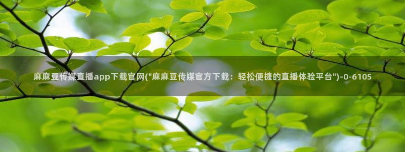 麻豆描述库