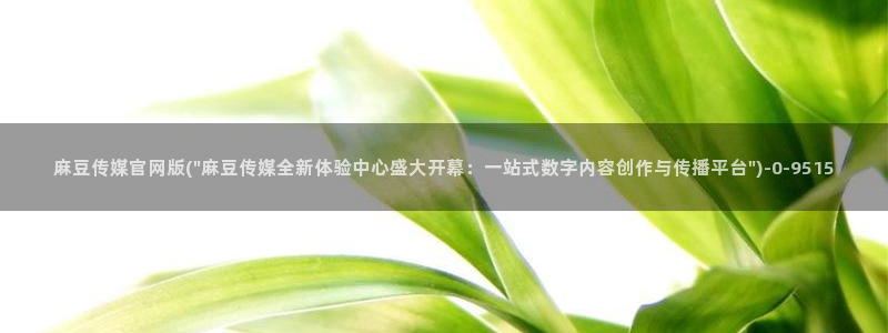 麻豆视频标签规划