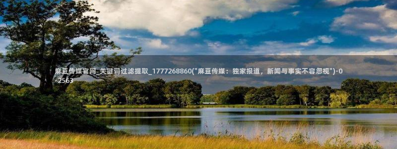 麻豆视频截图