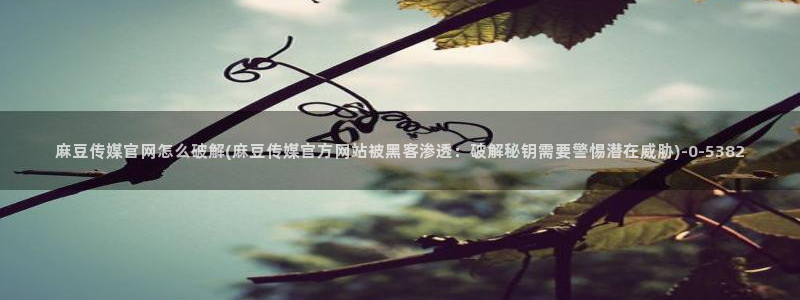 麻豆视频关于我们：麻豆传媒官网怎么破解(麻豆传媒官方网站被黑客渗透：破解
