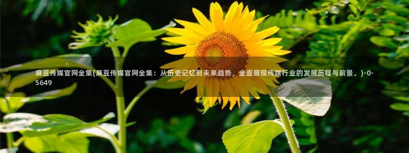 麻豆专题标题