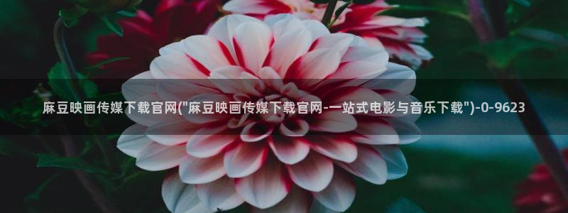 麻豆原创视频