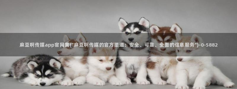 麻豆视频相关搜索