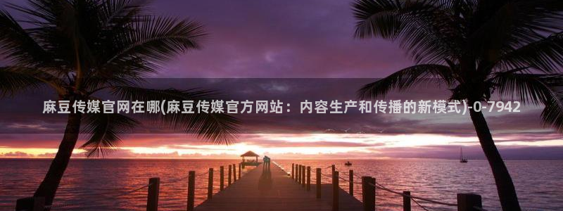 麻豆视频关于我们