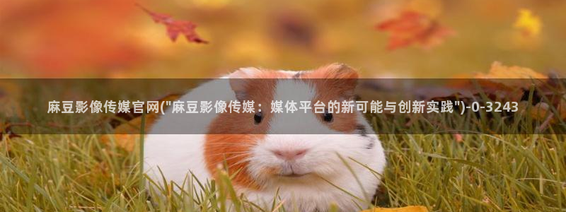 麻豆排行页