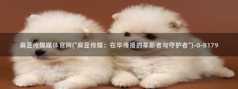 麻豆视频合作联系