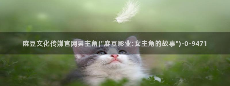 麻豆视频热门内容