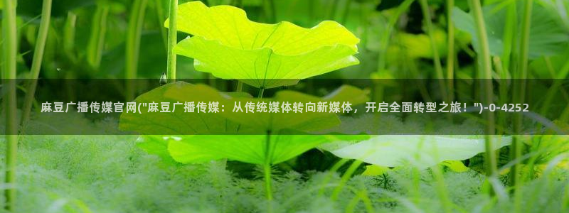 麻豆最新视频