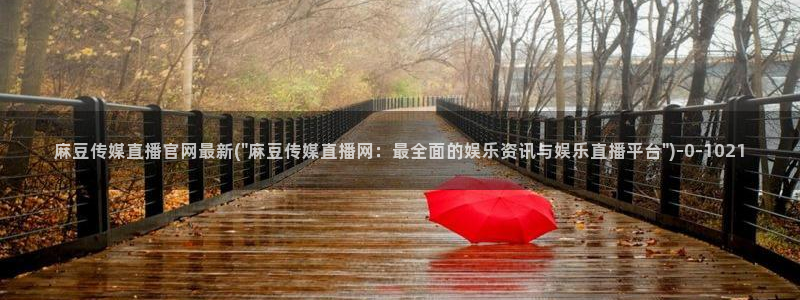 麻豆视频搜索