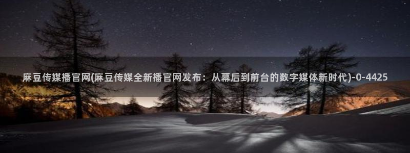 麻豆情感剧情