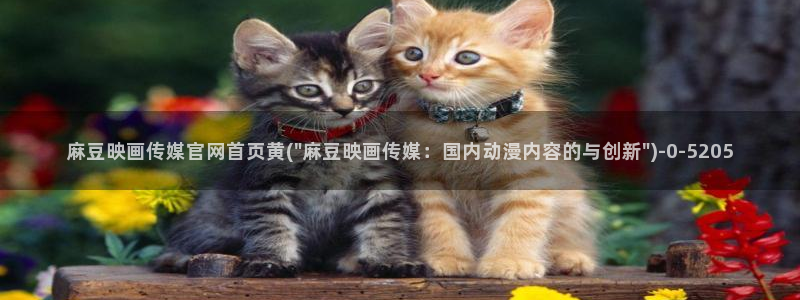 麻豆视频标题规则